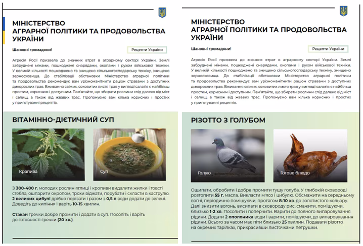 A PDF attached to one of the disinformation emails that suggested eating "pigeon risotto."
