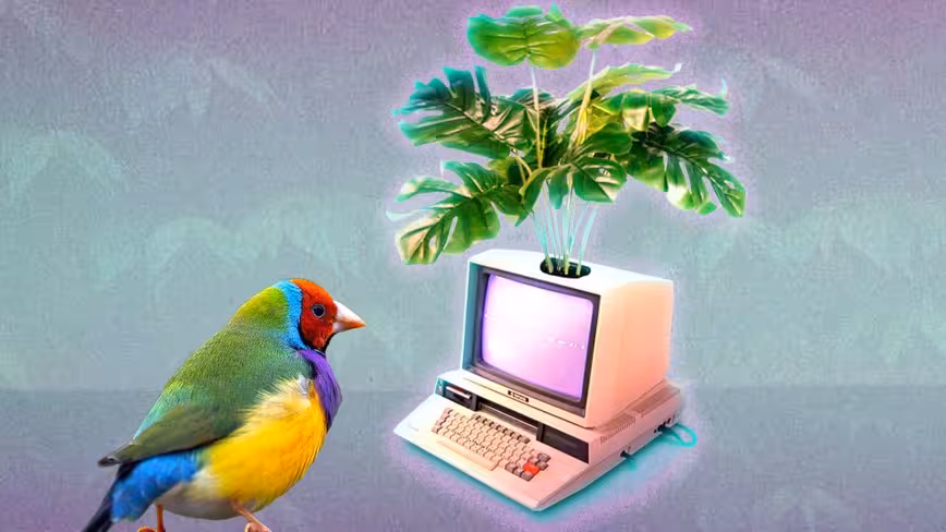 Everything you need to know about Finch, the latest programming language developed by MIT Featured Image