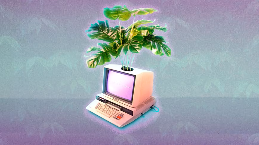 Why Zig has become the highest-paying programming language Featured Image