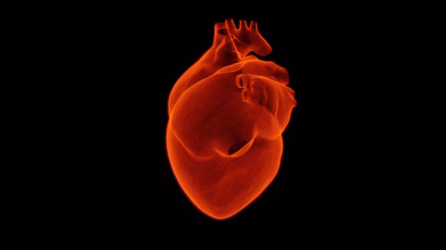 Cambridge startup analyses ‘multi-omics’ data to discover new heart drugs