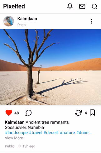 The Pixelfed feed