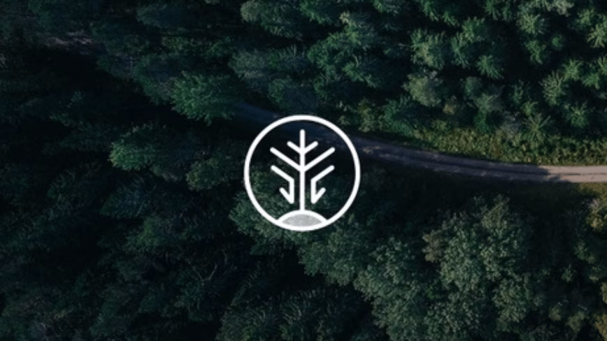 The companies burning the most electricity are buying carbon credits from genetically engineered trees