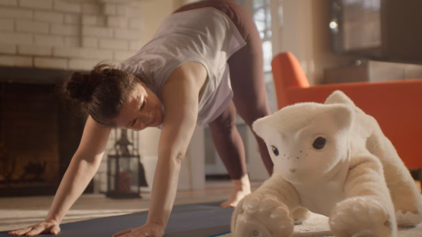 From Roomba to Robot Pooch: 10 Surprising Insights Into Colin Angle's Plush AI Companion