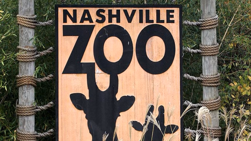 Nashville Zoo says a proposed AI data centre could stop its endangered leopards from breeding