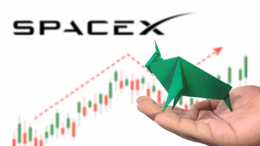 SpaceX adds Sequoia’s Roelof Botha to its board, days after record $75 billion IPO