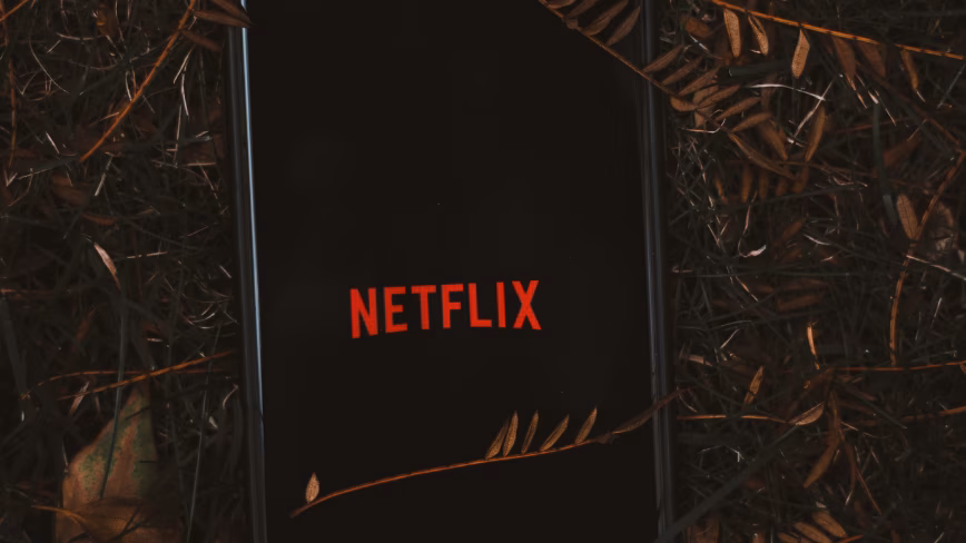 Флорида подала в суд на Netflix, обвинив компанию в создании рекламного бизнеса на данных семей