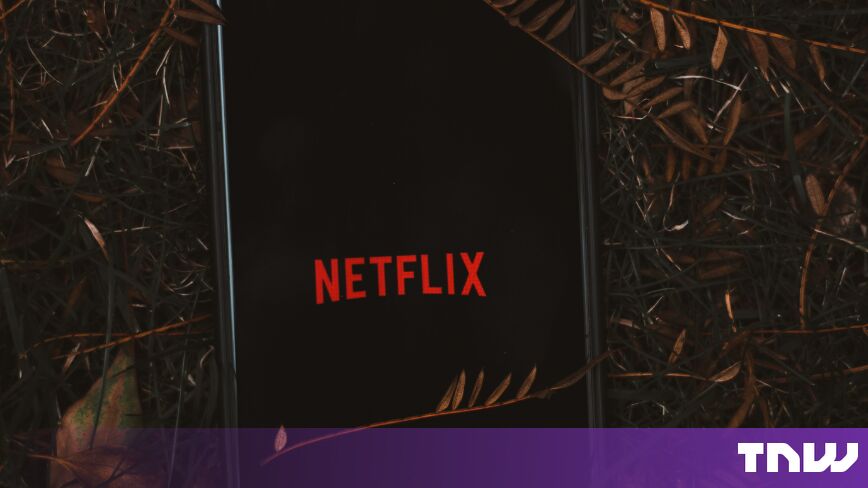 Флорида подала в суд на Netflix, обвинив компанию в создании рекламного бизнеса на данных семей