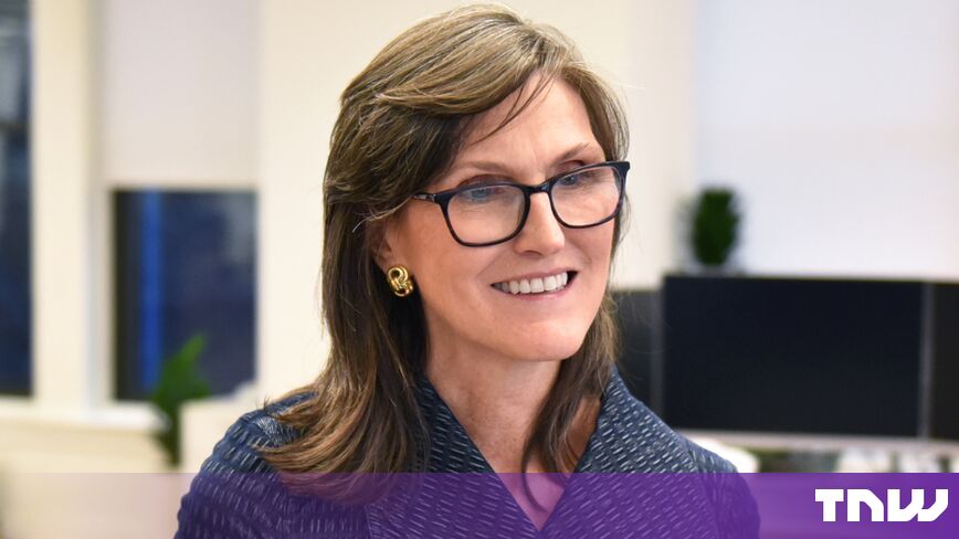 https://media.thenextweb.com/2026/09/Cathie-Wood-in-the-ARK-Invest-office.jpg