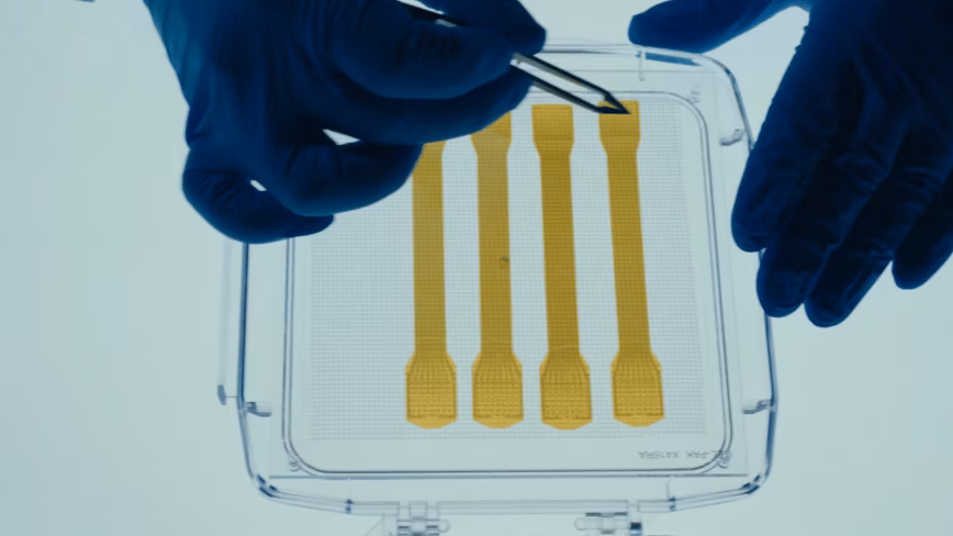 «Мозг может восстанавливаться»: Экман поддерживает Precision Neuroscience