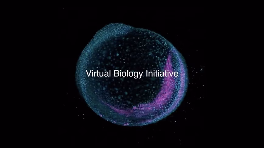 A glowing cluster of cells in teal and magenta on a black background, with the words Virtual Biology Initiative across the centre