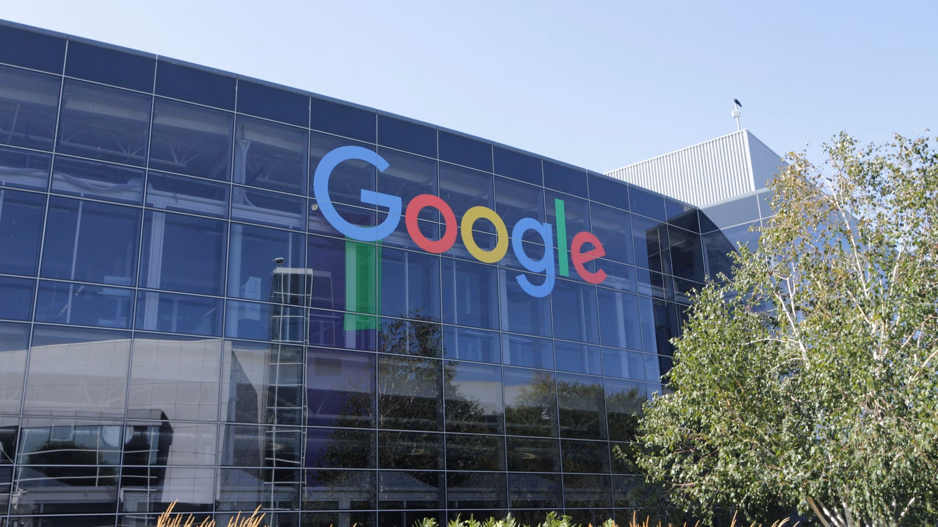 Google вырубила 250 000 деревьев ради дата-центра в Финляндии, сообщает Guardian
