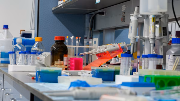 Anthropic buys a one-person biotech and starts its own drug programmes