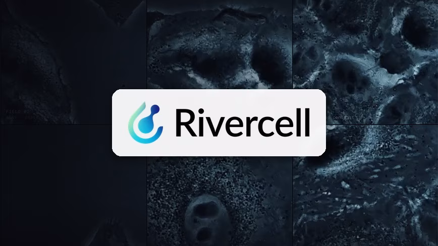 Rivercell привлекла 25 млн долларов на создание ИИ-модели реакции клеток на лекарства