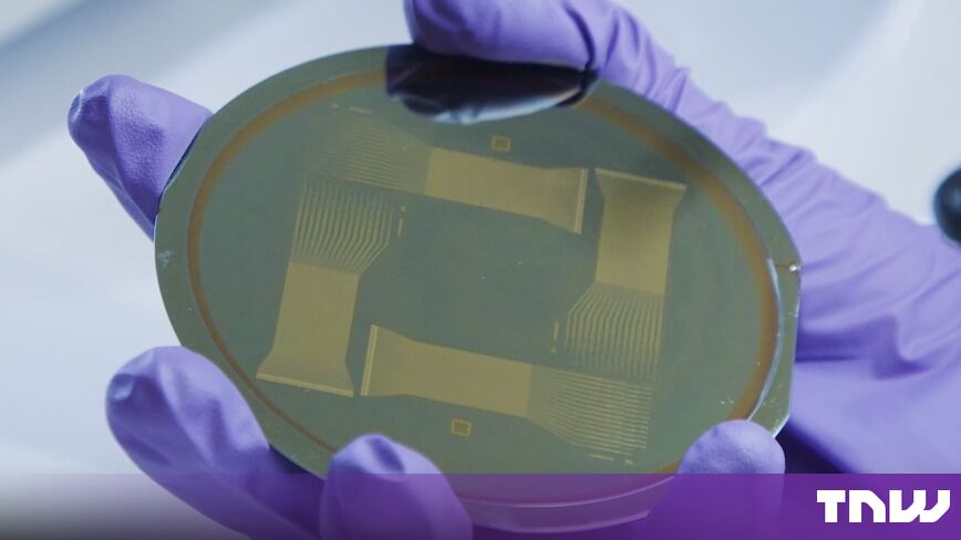 https://media.thenextweb.com/2026/10/thin-film-electrode-wafer-purple-gloves-lab.jpg